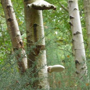 Vilains arbres pollueurs! Vilains arbres pollueurs!