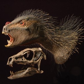 Le fossile de jour: le dinosaure porc-épic! Le fossile de jour: le dinosaure porc-épic!