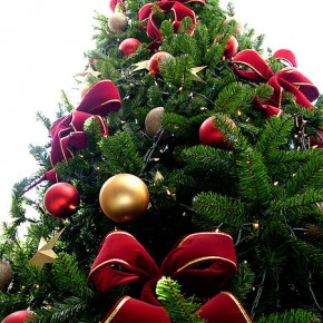 Joyeux noël: les nouveautés sont arrivées! Joyeux noël: les nouveautés sont arrivées!