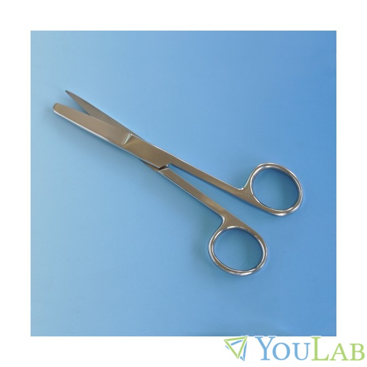 ciseaux de dissection pour étudiants à Lille 1