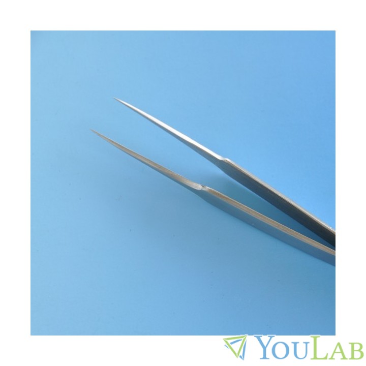 pince dumont pour trousse à dissection à Lille 1