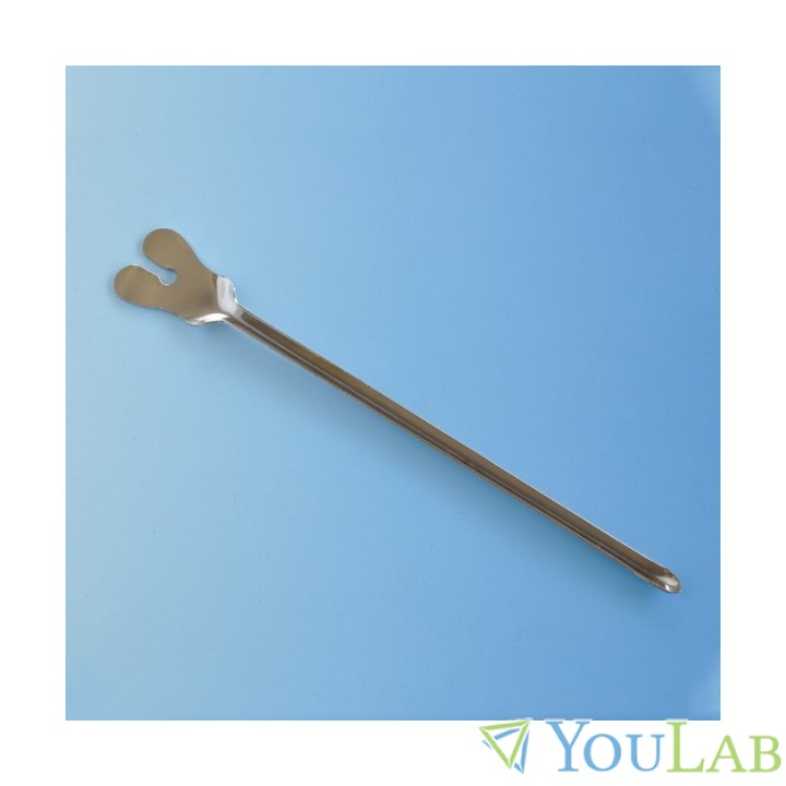sonde cannelée pour trousse à dissection à Lille 1