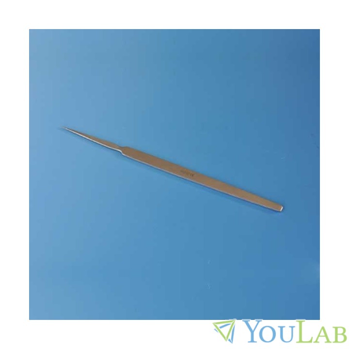 pointe droite pour trousse à dissection à Lille 1