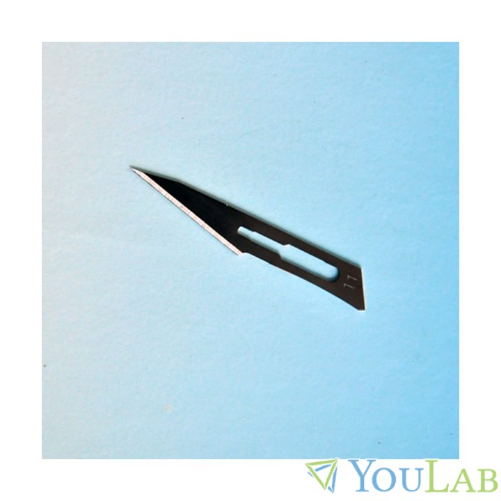 Lame pour dissection à Lille 1