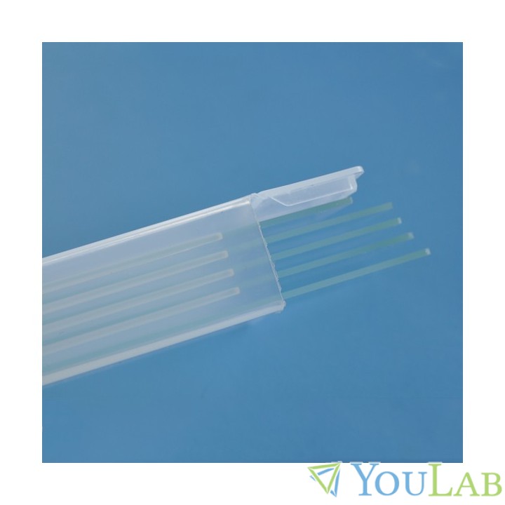 Lame de microscope pour dissection à Lille 1