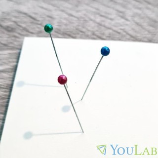 Épingles pour dissection