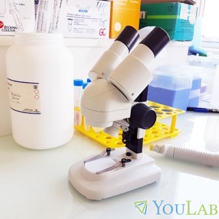 Loupe binoculaire 20X