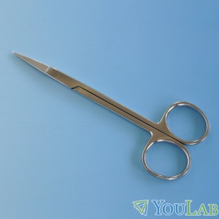 Instruments de dissection pour trousse prépa BCPST Limoges