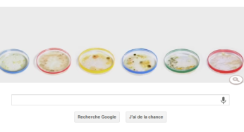 Un Doodle en l’honneur de Julius Richard Petri
