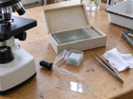 Boîtes de lames et de lamelles, compte-gouttes, pince et chiffon près d’un microscope.