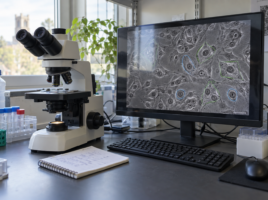 Microscope et écran présentant une image de cellules avec des contours de segmentation.