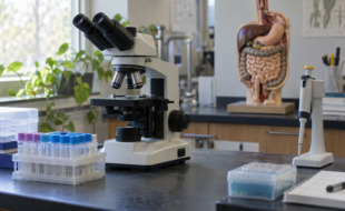 Microscope, tubes d’échantillons et modèle pédagogique du système digestif dans un laboratoire.