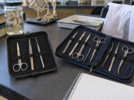 Deux trousses de dissection ouvertes présentant des assortiments d’instruments pour différents besoins en TP.